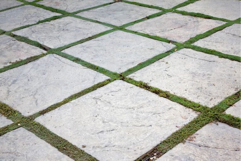concrete path surface